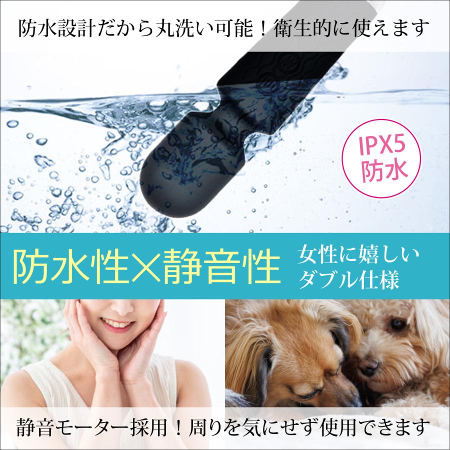 ハンディマッサージャー an アン Sサイズ 振動機器 家庭用 振動