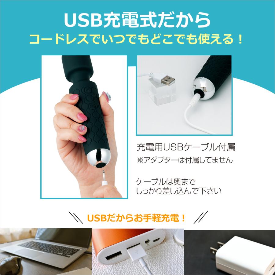 phiten ハンディマッサージャー 未使用 ハンディマッサージャー an アン Lサイズ 振動機器 家庭用 振動