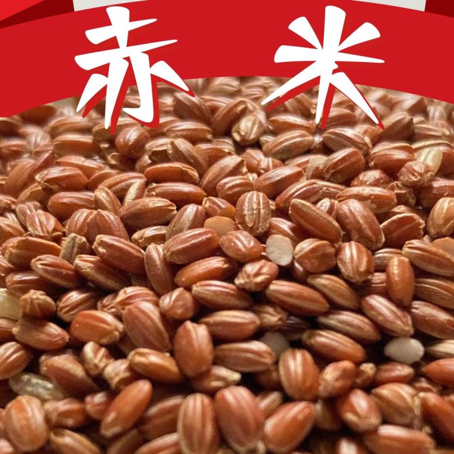 【送料無料】国内産雑穀お試しセット(赤米、黒米、緑米) 各100g｜sekainoyamgen｜02