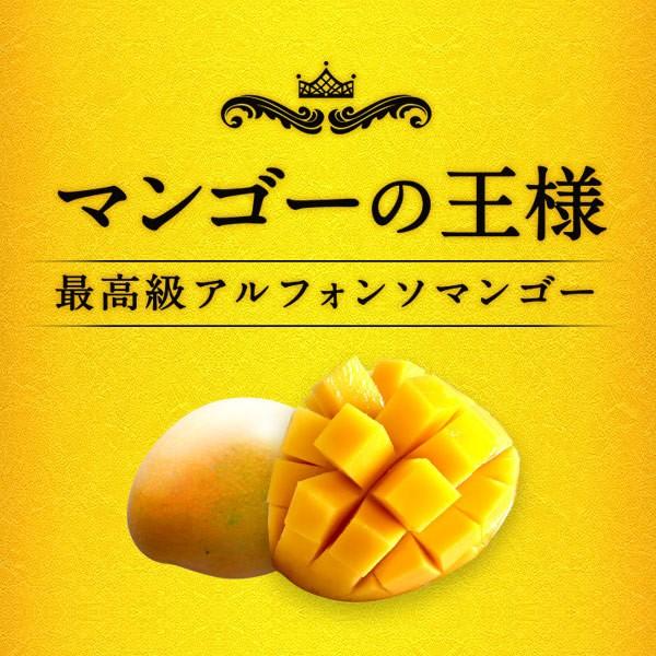 マンゴードリンク アンビカ アルフォンソ 720ml 12本セット アルフォンソマンゴー55％使用 着色料・香料不使用 送料無料｜sekamaru｜04