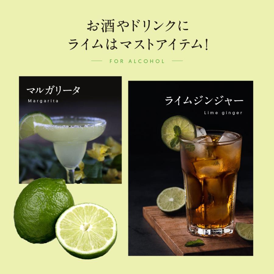 【新品】食品サンプル〔まいづる〕　ライムサワー 食品サンプル〔まいづる〕 ライムサワー Amazon.co.jp: 北岡本店