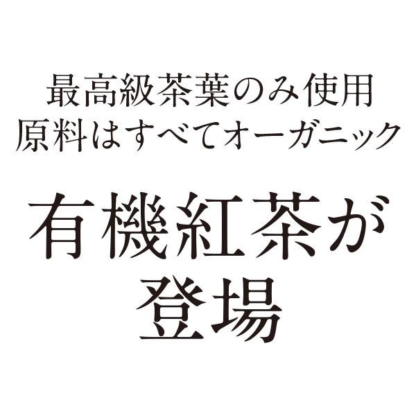 有機JAS認定　スーパーベリー オーガニックティー　20袋入りペーパーBOX　ティーバッグ　紅茶　English Tea Shop｜sekamaru｜03