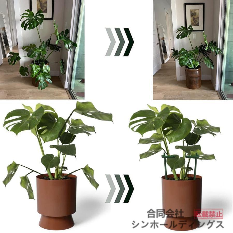 園芸用品 支柱 園芸 きゅうり 型 モンステラ ガーデニング用品 植物
