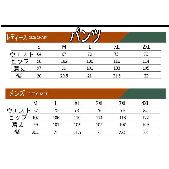 スノーボードウェア 上下セット メンズ レディース スキーウェア 男女