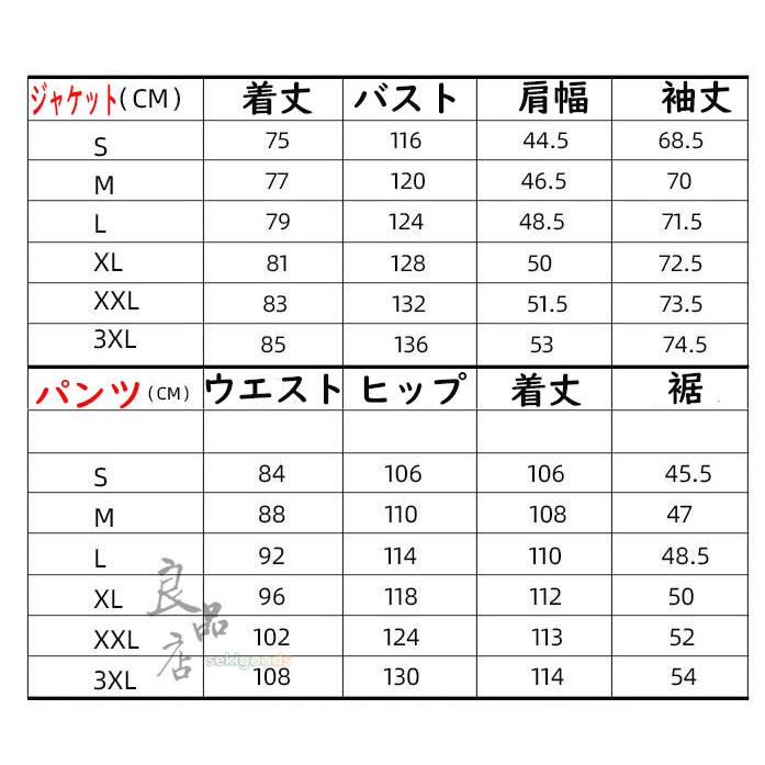 スキーウェア 上下セット レディース メンズ ジャケット パンツ