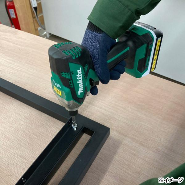 武田コーポレーション 即日出荷 アイアンフレームNeo 専用ねじ 5個入