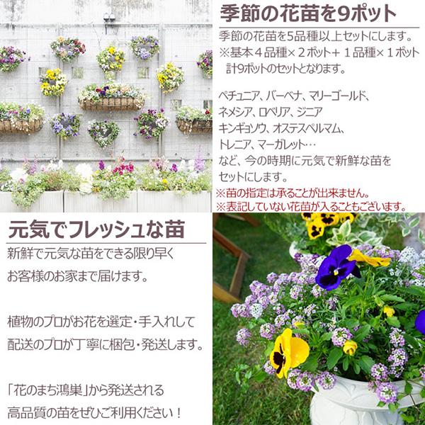 直送 日時指定不可 季節のお花おまかせ9ポット 花苗 セット