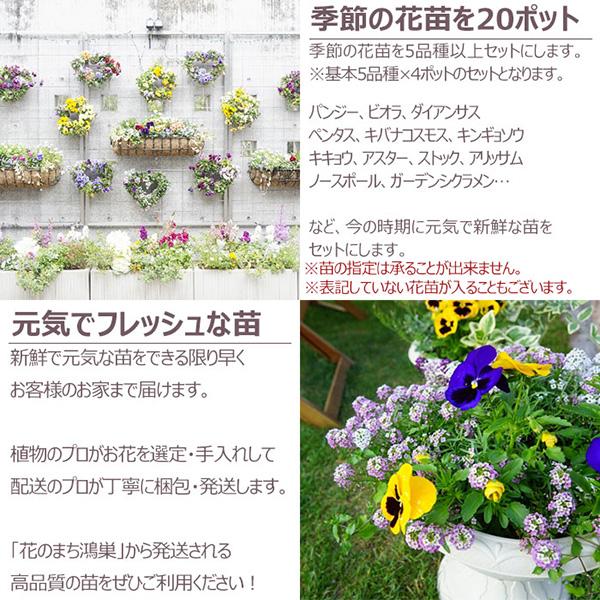 直送 日時指定不可 季節のお花おまかせ20ポット 花苗 セット
