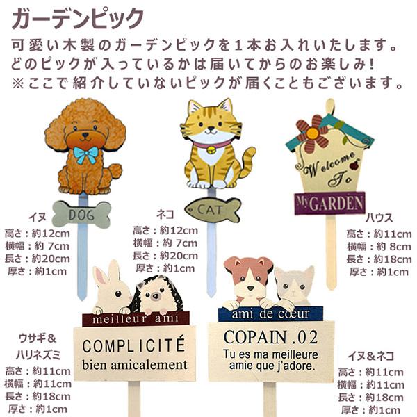 直送 日時指定不可 季節の寄せ植え 夏 タル型鉢 黒 花苗 ガーデン