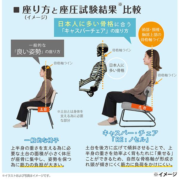 ドウシシャ ノセルチェア 高座椅子 ダイニングチェア

　(受け渡し予定) Amazon.co.jp: ドウシシャ ノセルチェア 高座椅子 ゆったりワイド 回転
