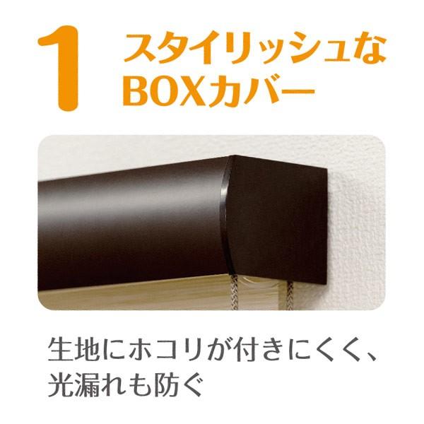 フルネス（Fullness） 直送 日時指定不可 カバー付きロールスクリーン