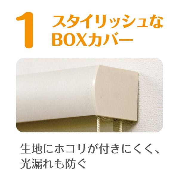 フルネス（Fullness） 直送 日時指定不可 カバー付きロールスクリーン