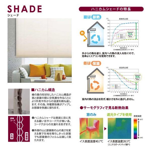 フルネス（Fullness） 直送 日時指定不可 ハニカムプリーツシェード 彩