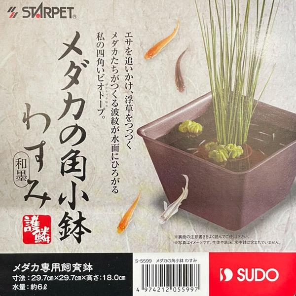 物品 即日出荷 スドー メダカの角小鉢 わすみ 和墨 Riosmauricio Com
