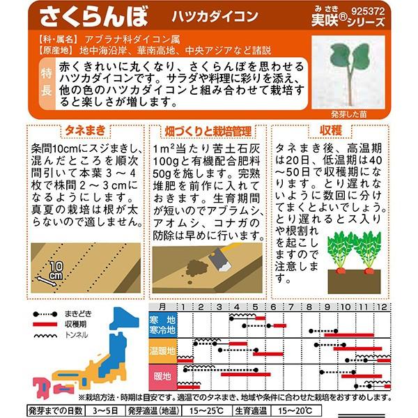 サカタのタネ さくらんぼ ハツカダイコン セキチューpaypayモール店 通販 Paypayモール