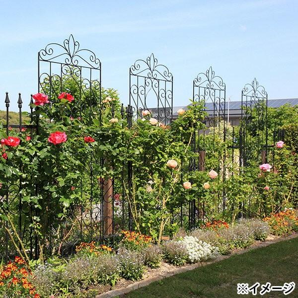 即日出荷 タカショー デザイントレリス 2100 Gstr Rc17l ガーデニング ガーデンフェンス お一人様5個まで 沖縄 離島配送不可 セキチューpaypayモール店 通販 Paypayモール