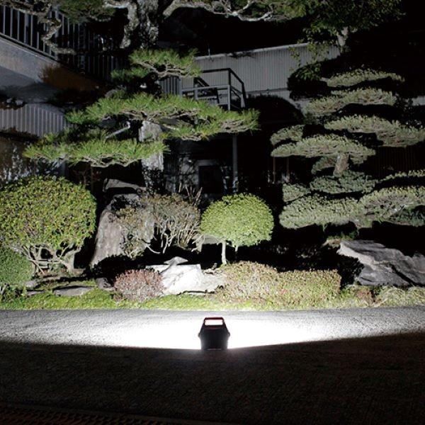 SK11 即日出荷 藤原産業 乾電池式LED投光器 SLW-13SMD-DB : セキチュー