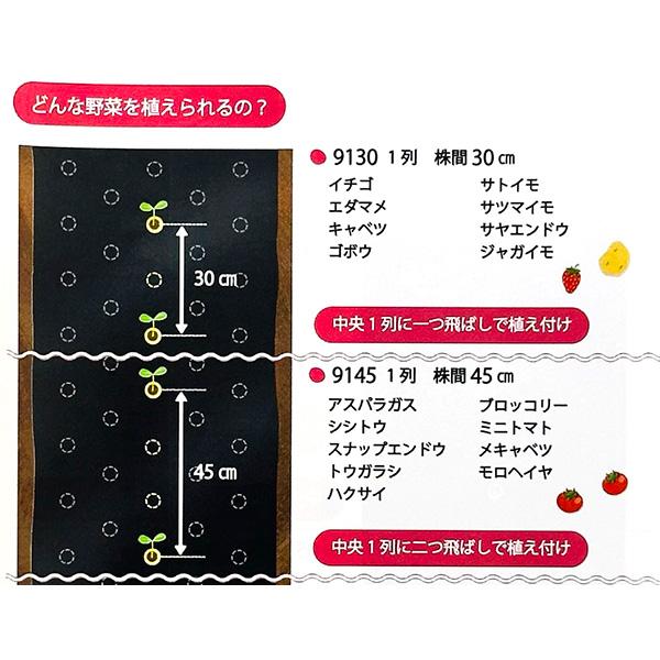 岩谷マテリアル 即日出荷 菜園用 フリーホール黒マルチ 0.02mm×95cm