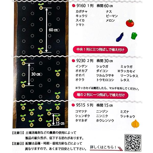 岩谷マテリアル 即日出荷 菜園用 フリーホール黒マルチ 0.02mm×95cm