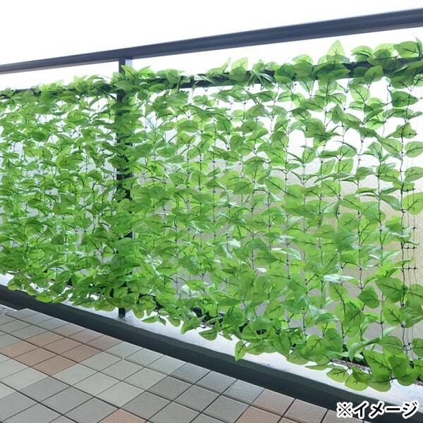 山善（YAMAZEN） 即日出荷 リーフラティス ソフト 1×2m LLS-12C(LG