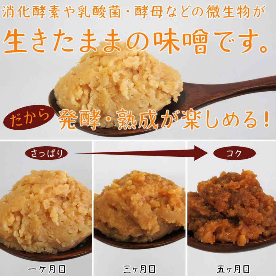 手づくり味噌キット　関戸麹屋の自家製麹と一等大粒大豆で作る |  | 02