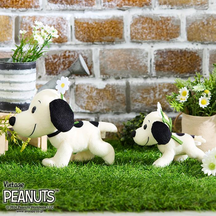 SNOOPY ファーストスヌーピー Sサイズ : セキグチダイレクト SNOOPY ファーストスヌーピー Sサイズ : セキグチダイレクト