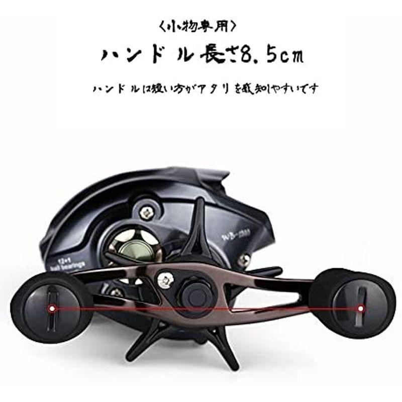 新作揃え ベイトフィネスリール ベアリング1 6 3 1ギア比 ドラグ力5 5kg 最低2gキャスト可能 軽量ルアー用 穴釣り 小物専用 Wb1000 ベイトリール ルアー用 Sohojapanesedining Com