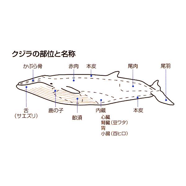 くじら本皮生　やわらかブロック　900ｇ（300ｇx3p）国産ミンククジラ等｜sekitarokujirapro｜06