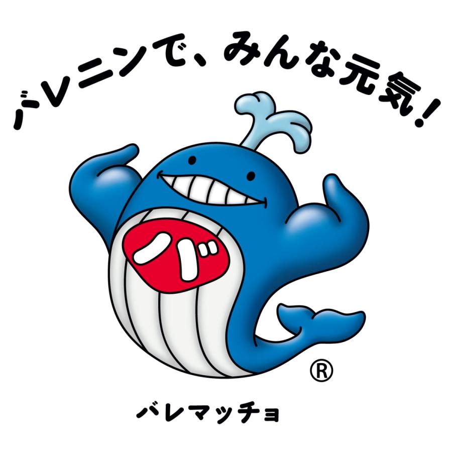 くじら熟成赤肉 500g 国産ニタリ鯨(北西太平洋)|sekitarokujirapro|06