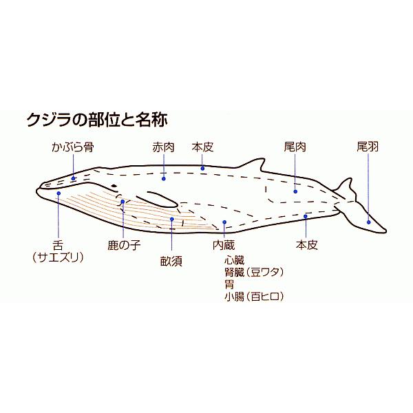 国内正規品 鯨くじらベーコン 切り落とし 400g 40g×10個 40gの1人前 食べきりサイズ10パック 鯨肉特有のバレニン 