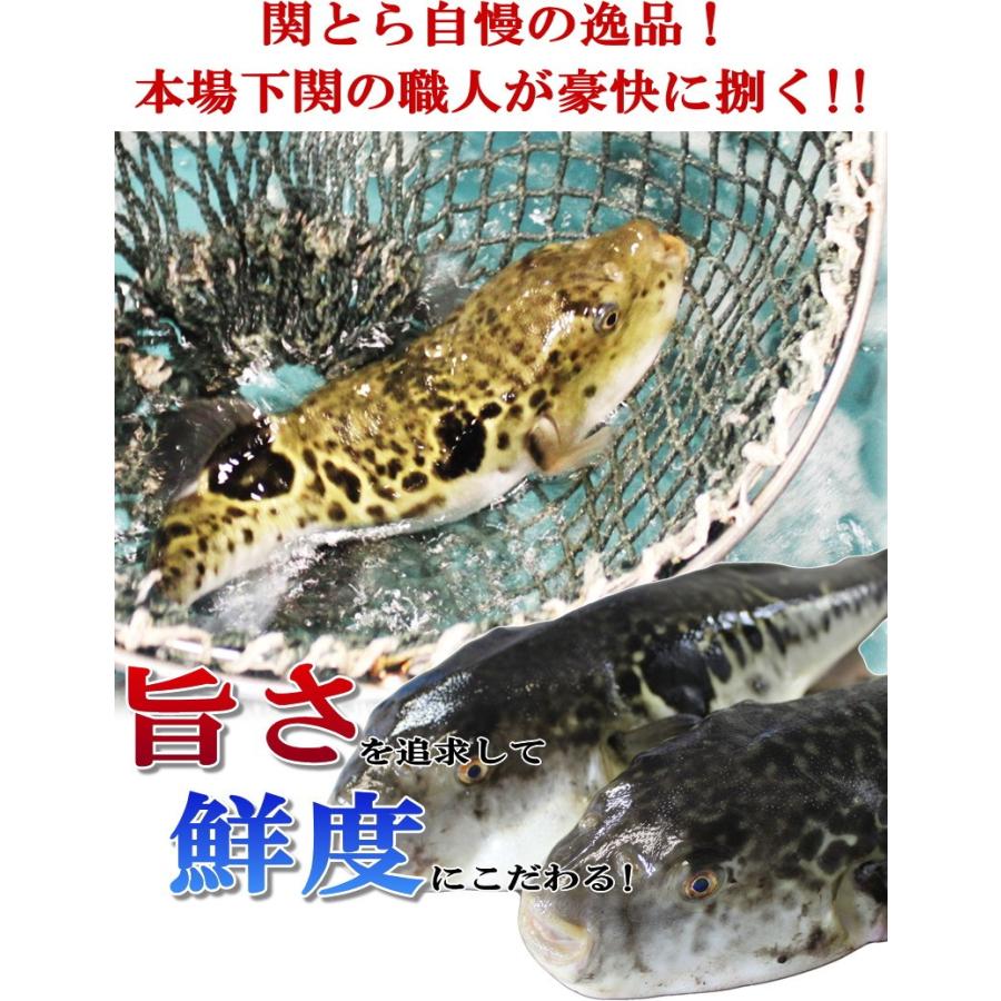 高い品質 ふぐ フグ 鍋 冬ギフト とらふぐ料理フルコース 3 4人前 とらふぐ白子付 お取り寄せ 山口 海鮮 御祝 グルメ 100 本物保証 Www Muslimaidusa Org