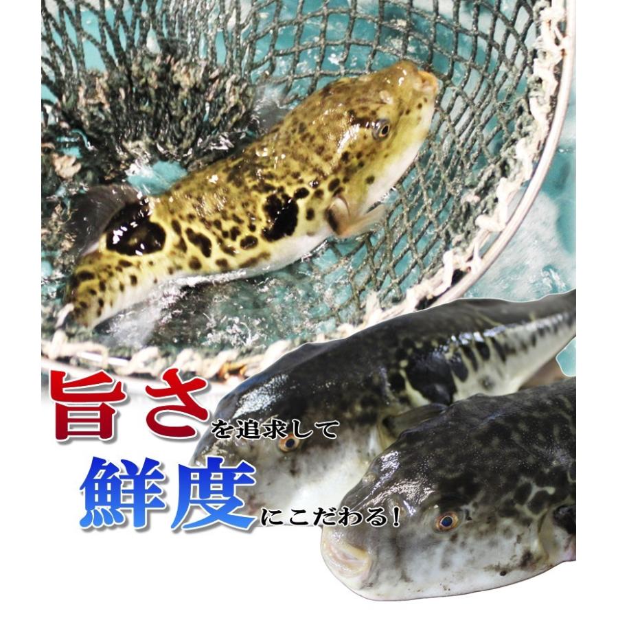 ふぐ 冬 ギフト フグ 鍋 とらふぐ刺身とふぐちり鍋セット 送料無料 海鮮 御祝 グルメ | 関とら本店 | 03