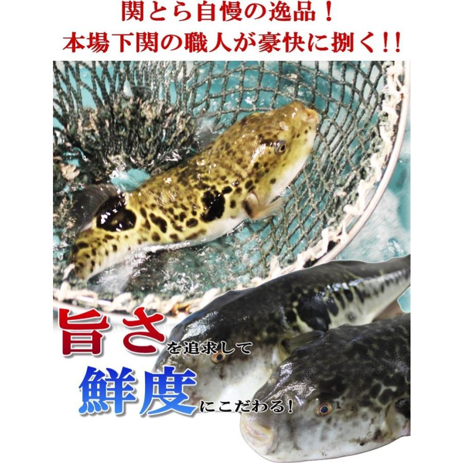 父の日 21 ふぐ フグ 鍋 ふぐちり とらふぐヒレ酒セット お取り寄せ 送料無料 海鮮 国内正規総代理店アイテム 御祝 グルメ 山口