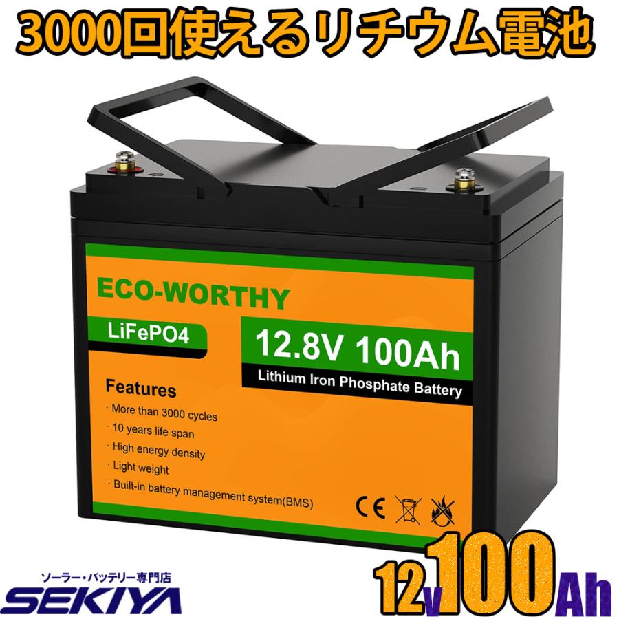 3000回使える 100AH リチウムイオンバッテリー 12V 1280Wh 3000回使える 100AH リチウムイオンバッテリー 12V 1280Wh