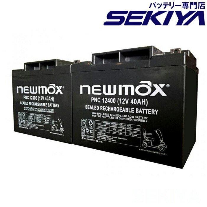 劣化防止パルス付 寿命4倍 セニアカーバッテリー SC38-12 適合 2個