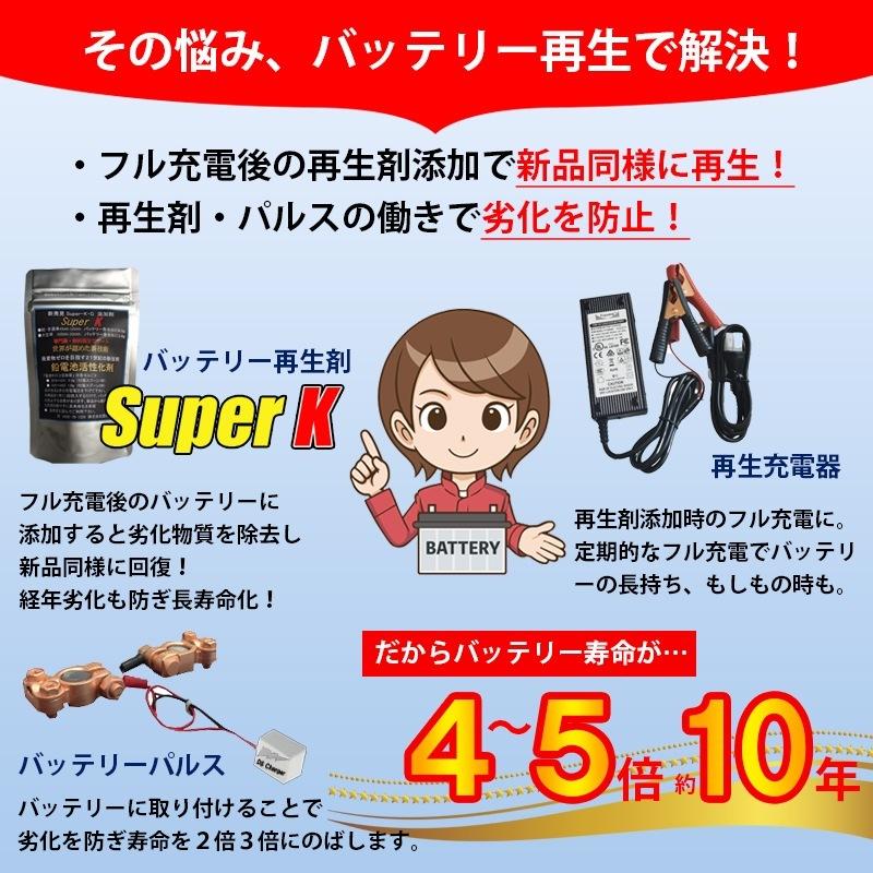 バッテリー再生セット バイク用 （バッテリー再生剤20g+再生充電器14.6