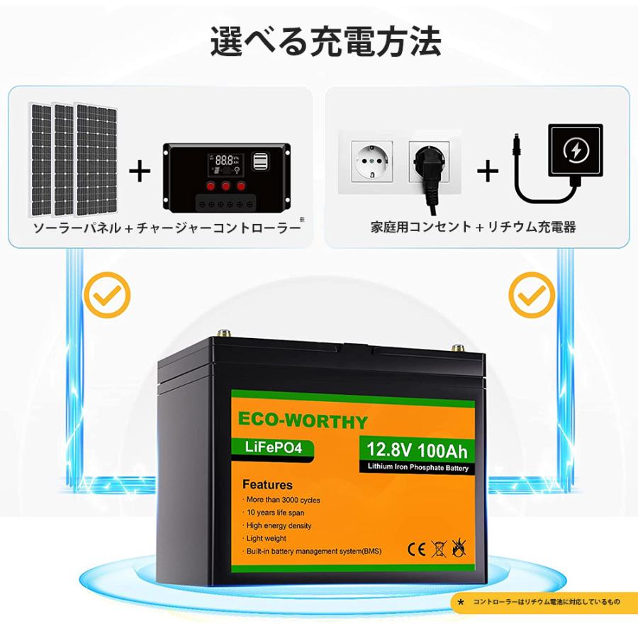 リン酸鉄リチウム電池 12v 100Ah 1280Wh 3000回寿命 BMS保護 リン酸鉄リチウム電池 12v 100Ah 1280Wh 3000回寿命 BMS保護
