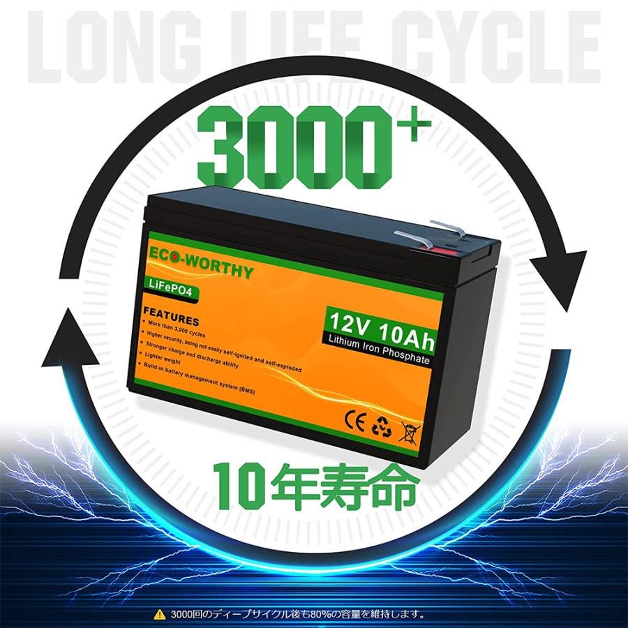 リン酸鉄リチウム電池 12v 10Ah 128Wh 3000回寿命 安全 BMS保護 リン酸鉄リチウム電池 12v 10Ah 128Wh 3000回寿命 安全 BMS保護