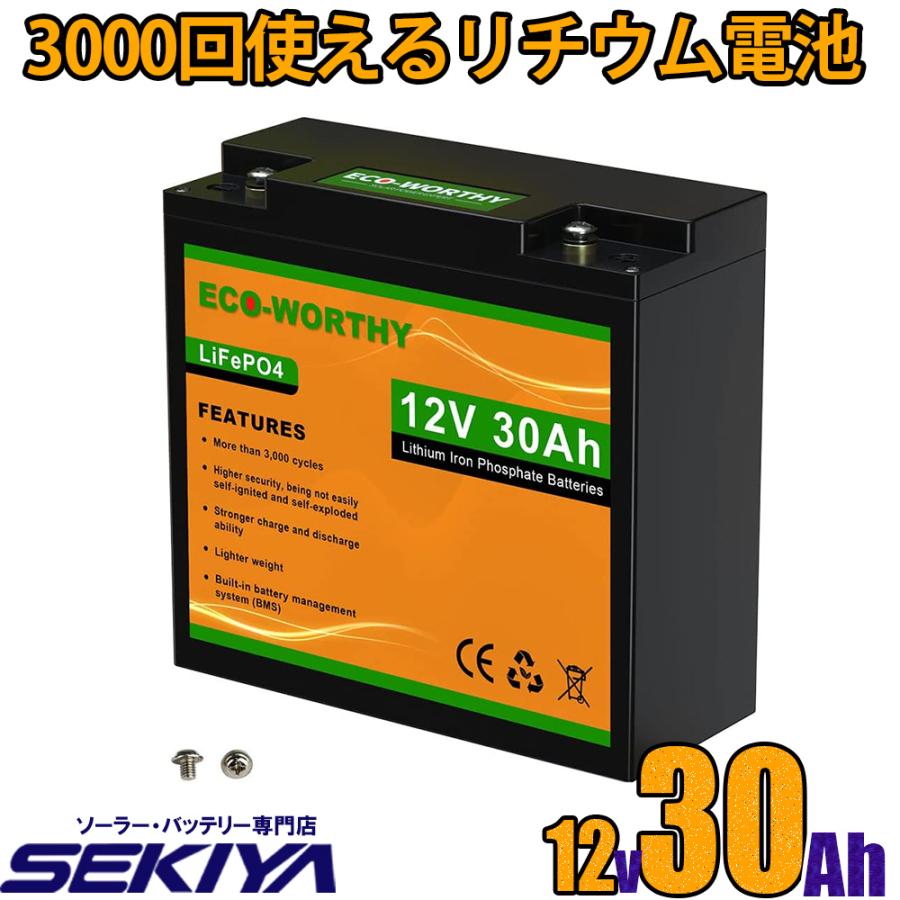 リン酸鉄リチウム電池 12v 30Ah 384Wh 3000回寿命 BMS保護 軽量