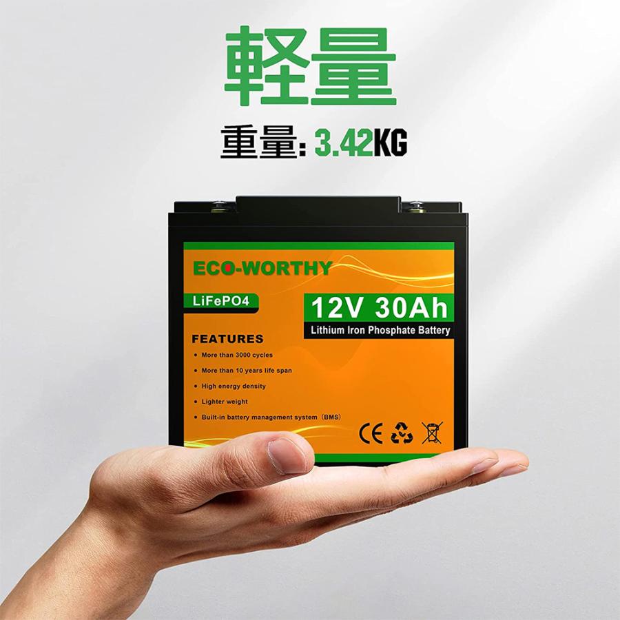 リン酸鉄リチウム電池 12v 30Ah 384Wh 3000回寿命 BMS保護 軽量