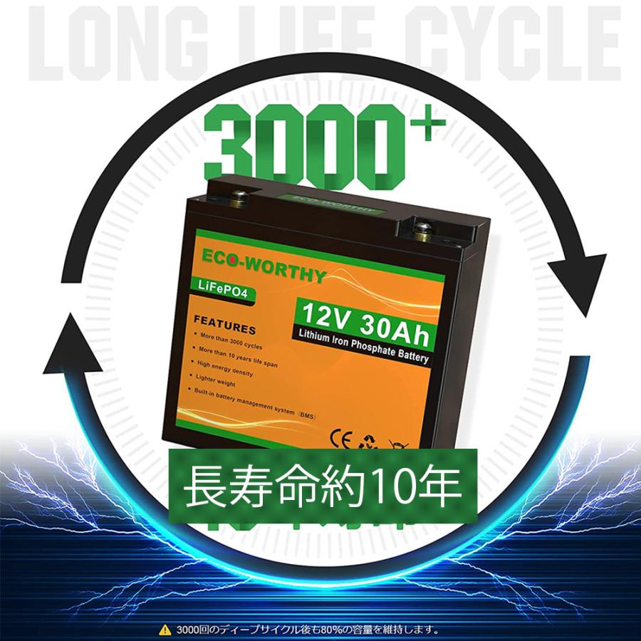 リン酸鉄リチウム電池 12v 50Ah 640Wh 3000回寿命 BMS保護 軽量 リン酸鉄リチウム電池 12v 50Ah 640Wh 3000回寿命 BMS保護 軽量