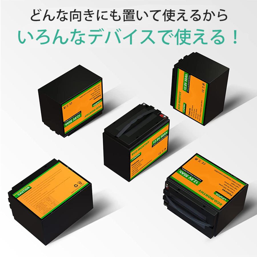 リン酸鉄リチウム電池 12v 50Ah 640Wh 3000回寿命 BMS保護 軽量 リン酸鉄リチウム電池 12v 50Ah 640Wh 3000回寿命 BMS保護 軽量