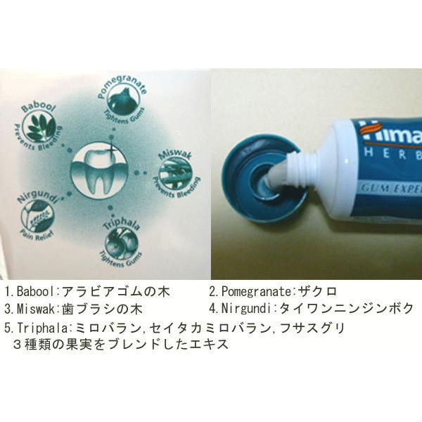 ヒマラヤ トゥースペイスト ｃｏｍケア80g 歯磨き粉 Himalaya Complete Care Toothpaste Himalaya Toothpaste Complete 80 自然派素材のせっけんワールド 通販 Yahoo ショッピング