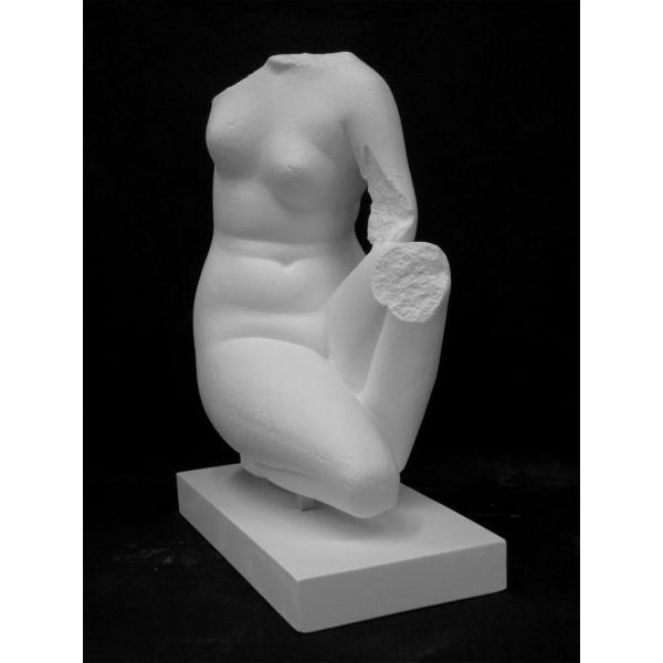 Ａ−３０３　うずくまるヴィーナス（トルソ）の画像