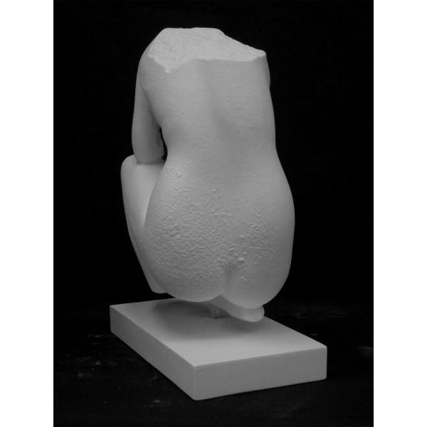 Ａ−３０３　うずくまるヴィーナス（トルソ）の画像