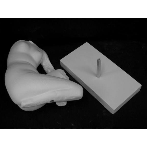 Ａ−３０３　うずくまるヴィーナス（トルソ）の画像