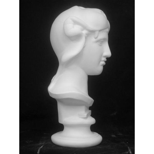 K−135 獅子冠女神胸像（ヘラクレス） : 石膏像ドットコム - 通販