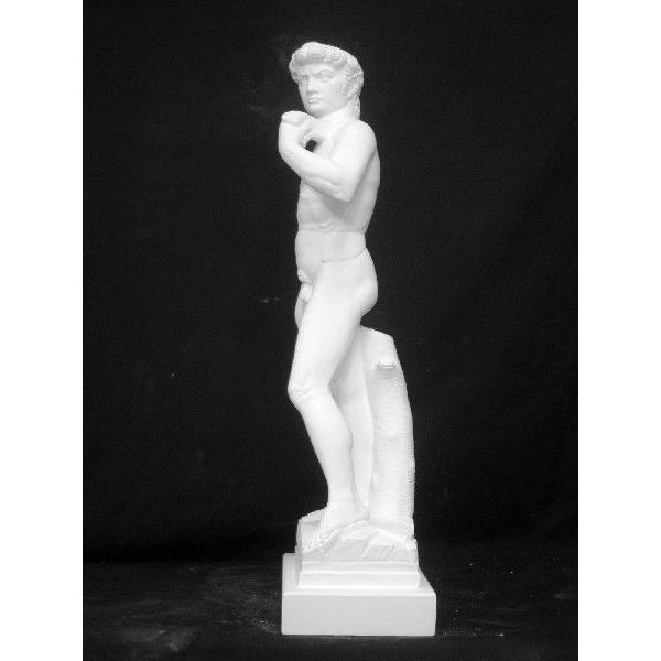 N−007 ダビデ全身像 H．64cm : 石膏像ドットコム - 通販