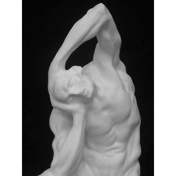 N−011 男子解剖座像 : 石膏像ドットコム - 通販 - Yahoo!ショッピング