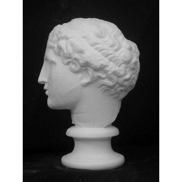 S−202 パルテノン首像（ラボルト） 古典的プラスター彫刻の頭像